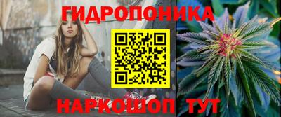 герыч Бердск