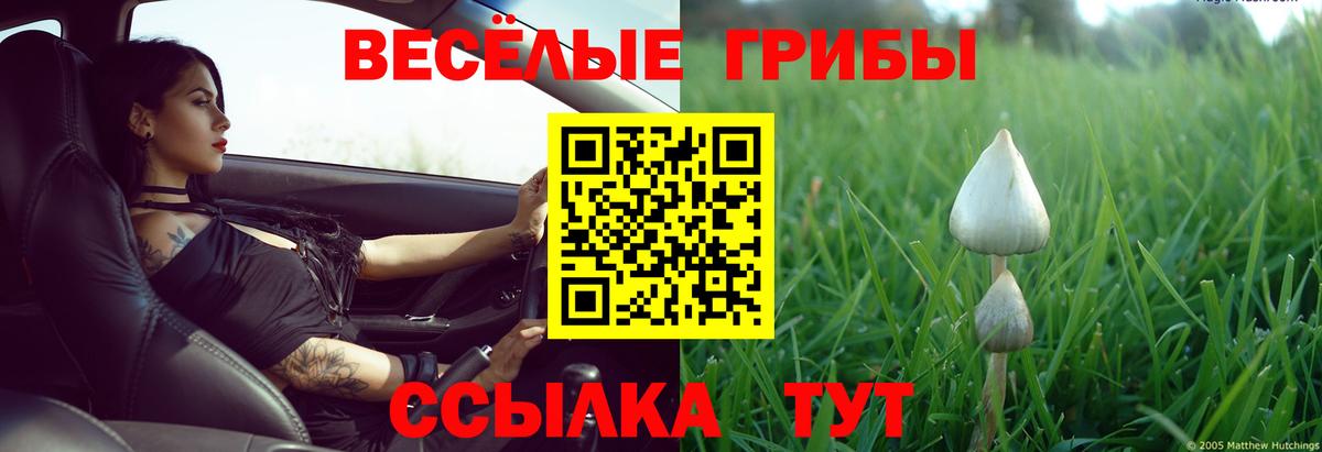 Псилоцибиновые грибы прущие грибы  Галлюциногенные грибы GOLDEN TEACHER  Вход с VPN  Великий Устюг 